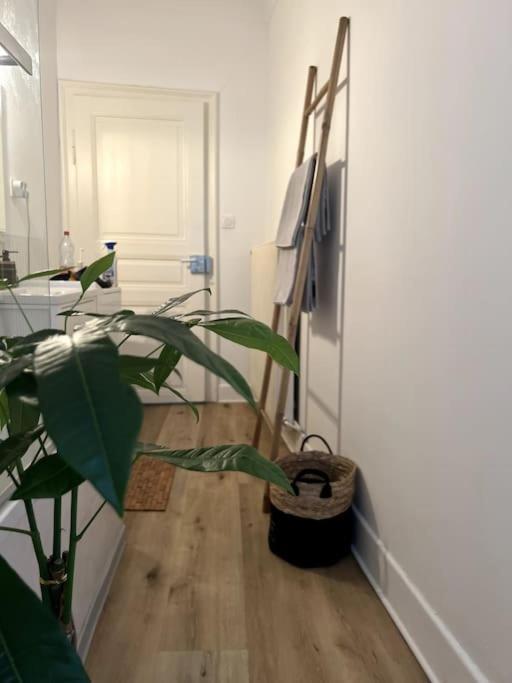 Appartement Cosy Et Lumineux Avec Parking Gratuit Colmar Buitenkant foto