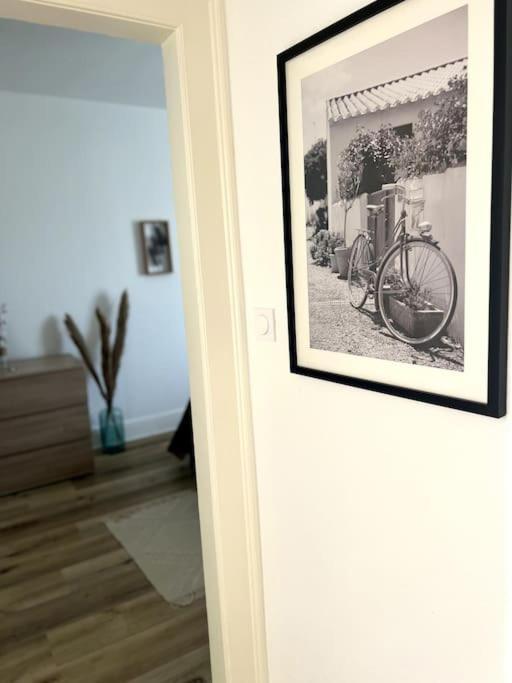 Appartement Cosy Et Lumineux Avec Parking Gratuit Colmar Buitenkant foto